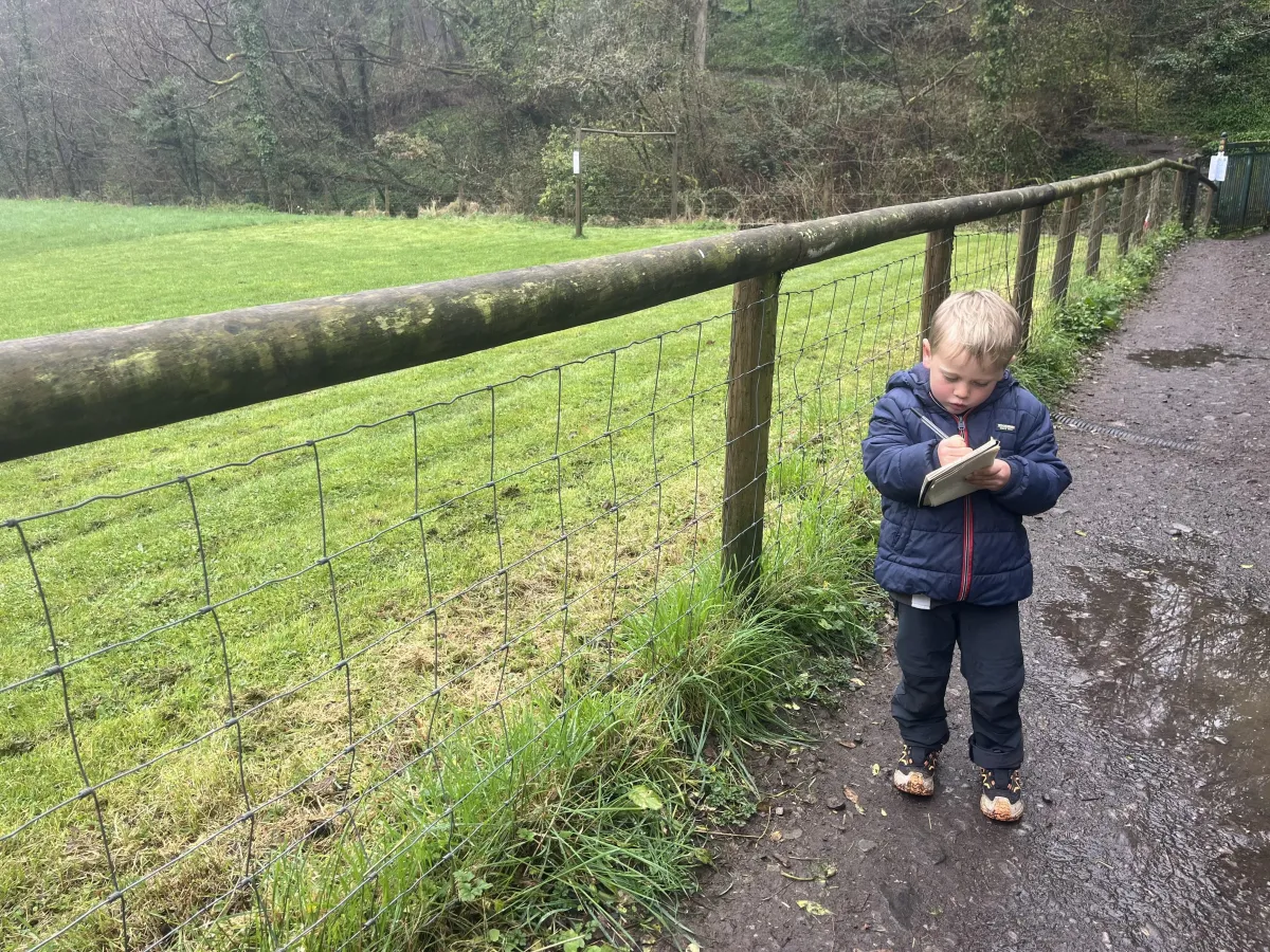 When Everything Falls Apart (And Nature Still Shows Up)