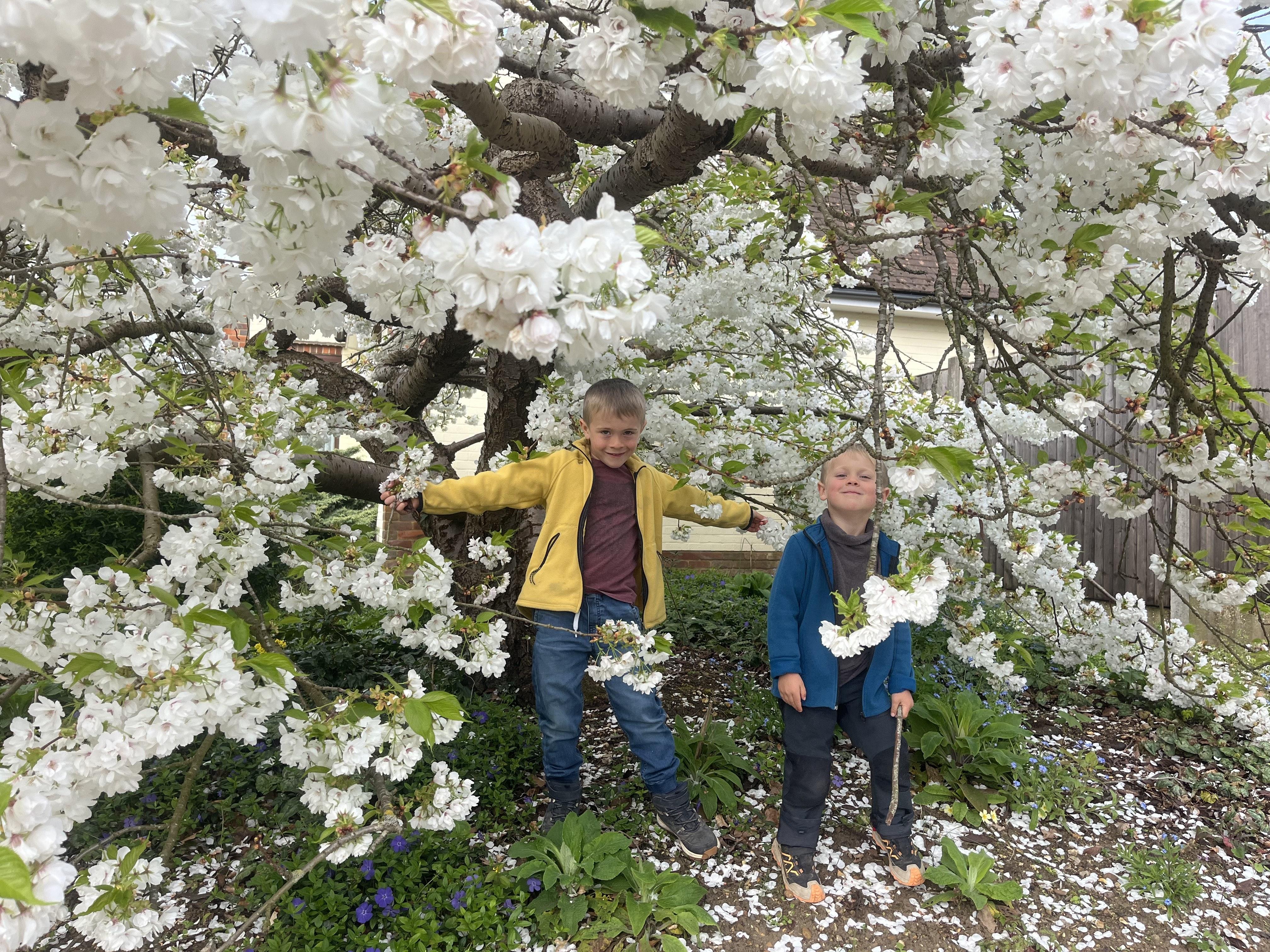 This Is What It Looks Like When Real Life Resumes