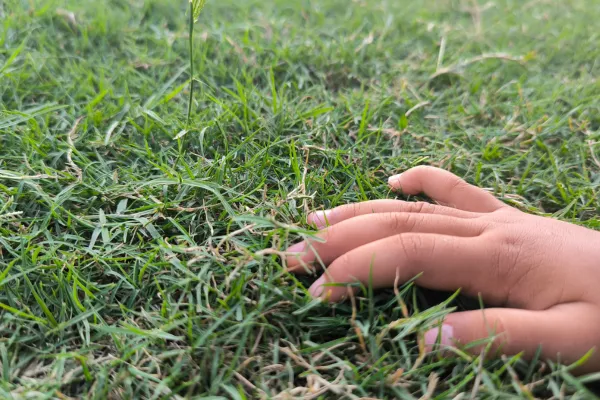 Go Touch Grass — But Here's What That Actually Means