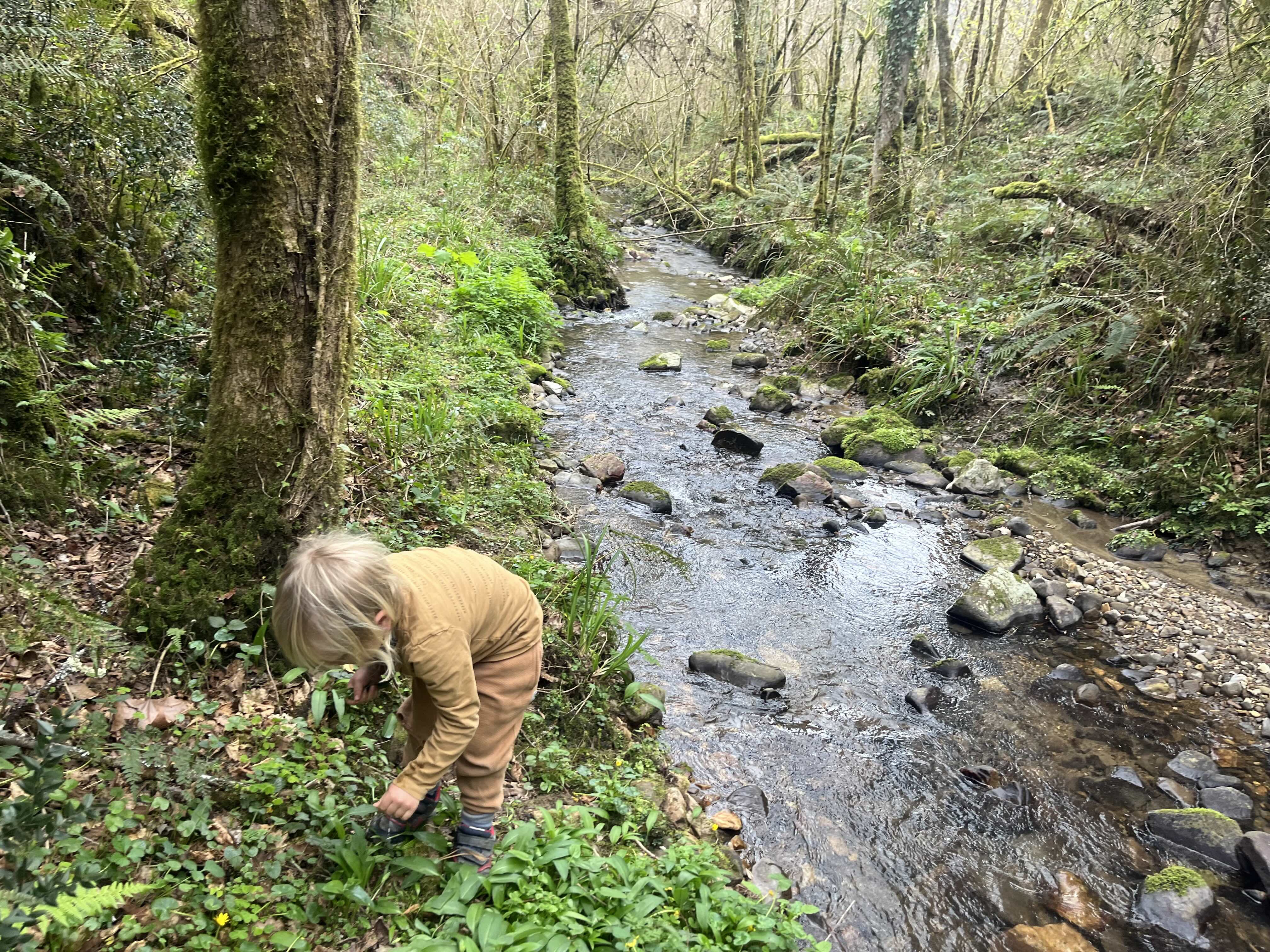 Boy by the stream