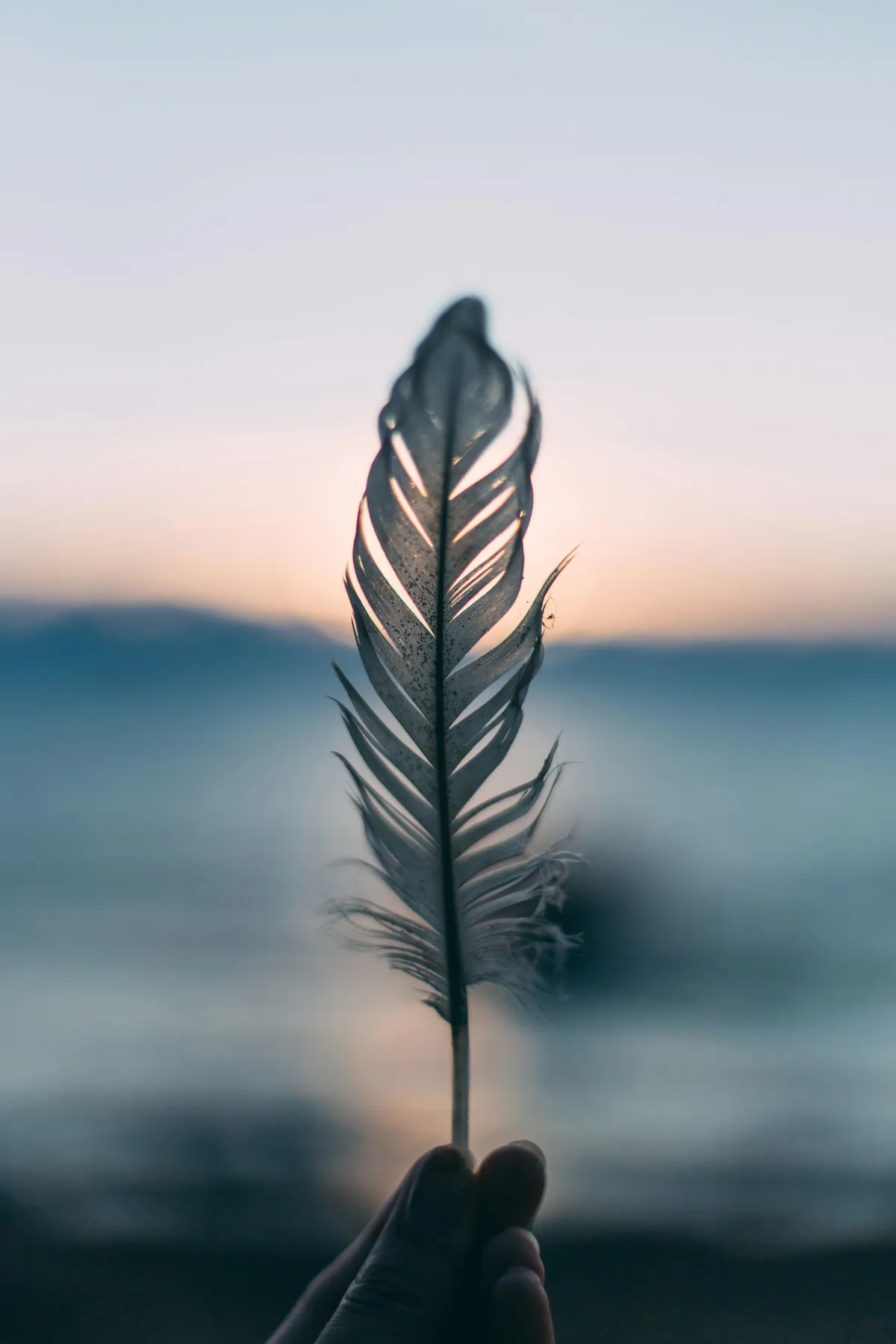 Personal Clarity & Guidance