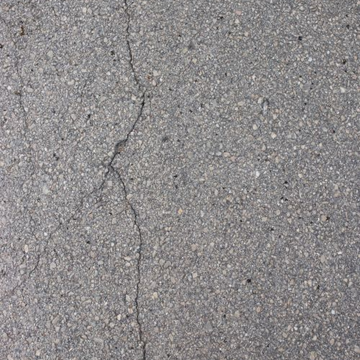 Close-up of an asphalt driveway with a long vertical crack needing repair
