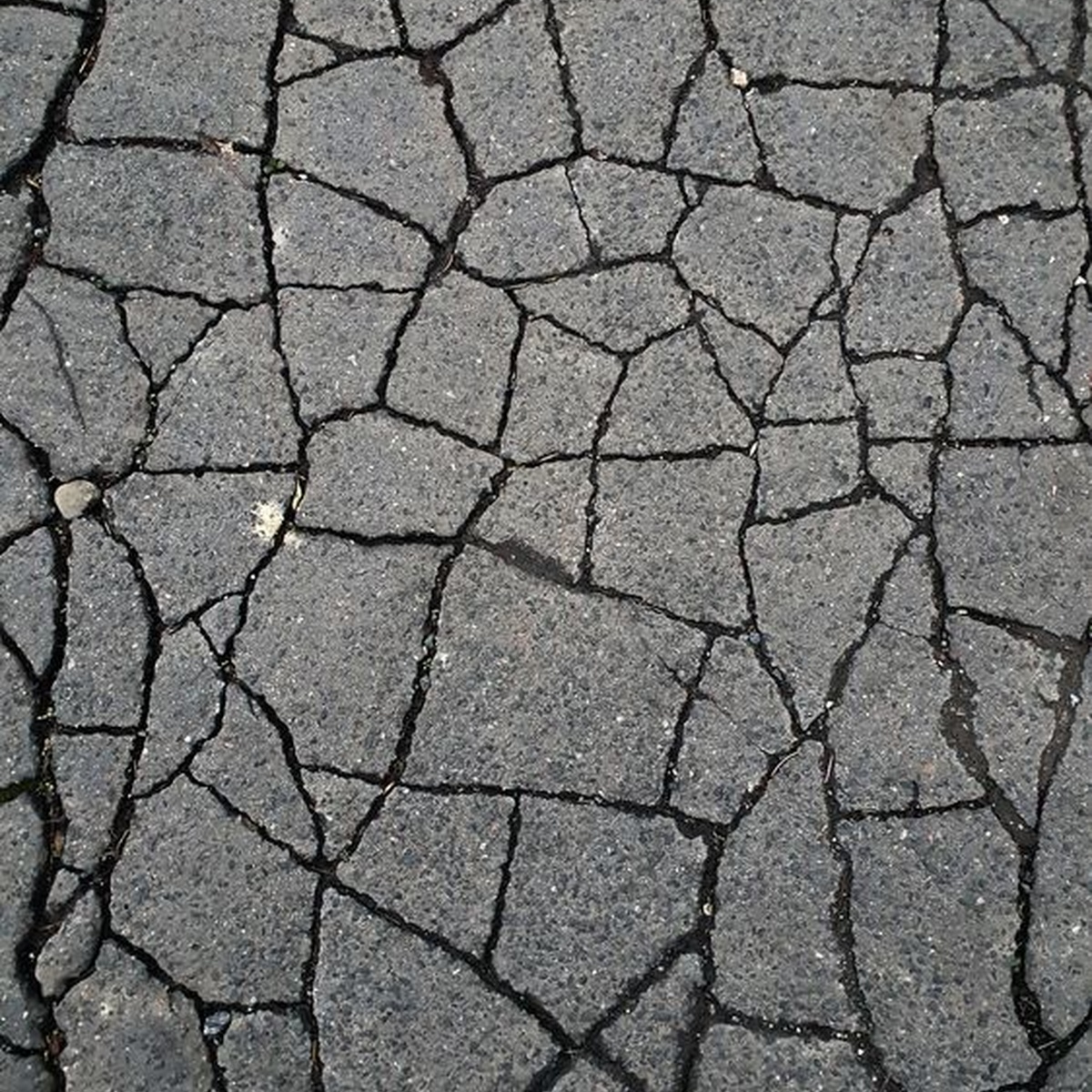 Close-up of alligator cracking in an asphalt driveway surface