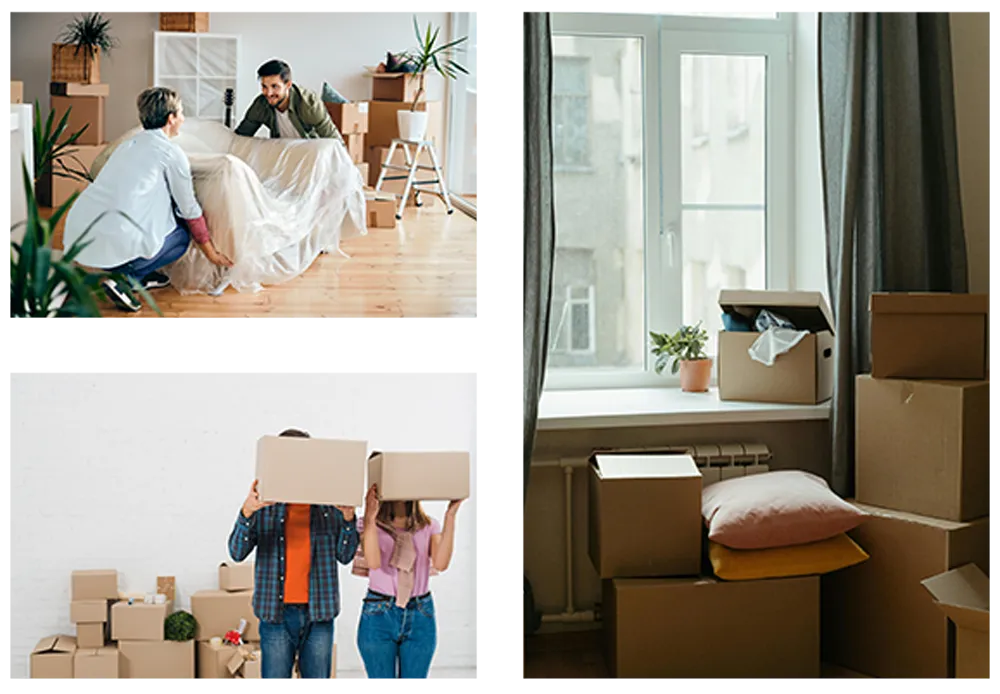 Move-In Cleaning Services in New Jersey, NJ