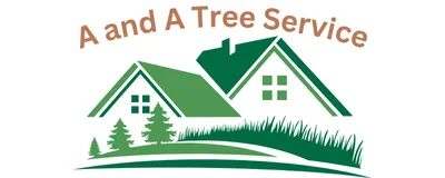 Tree Service San Antonio