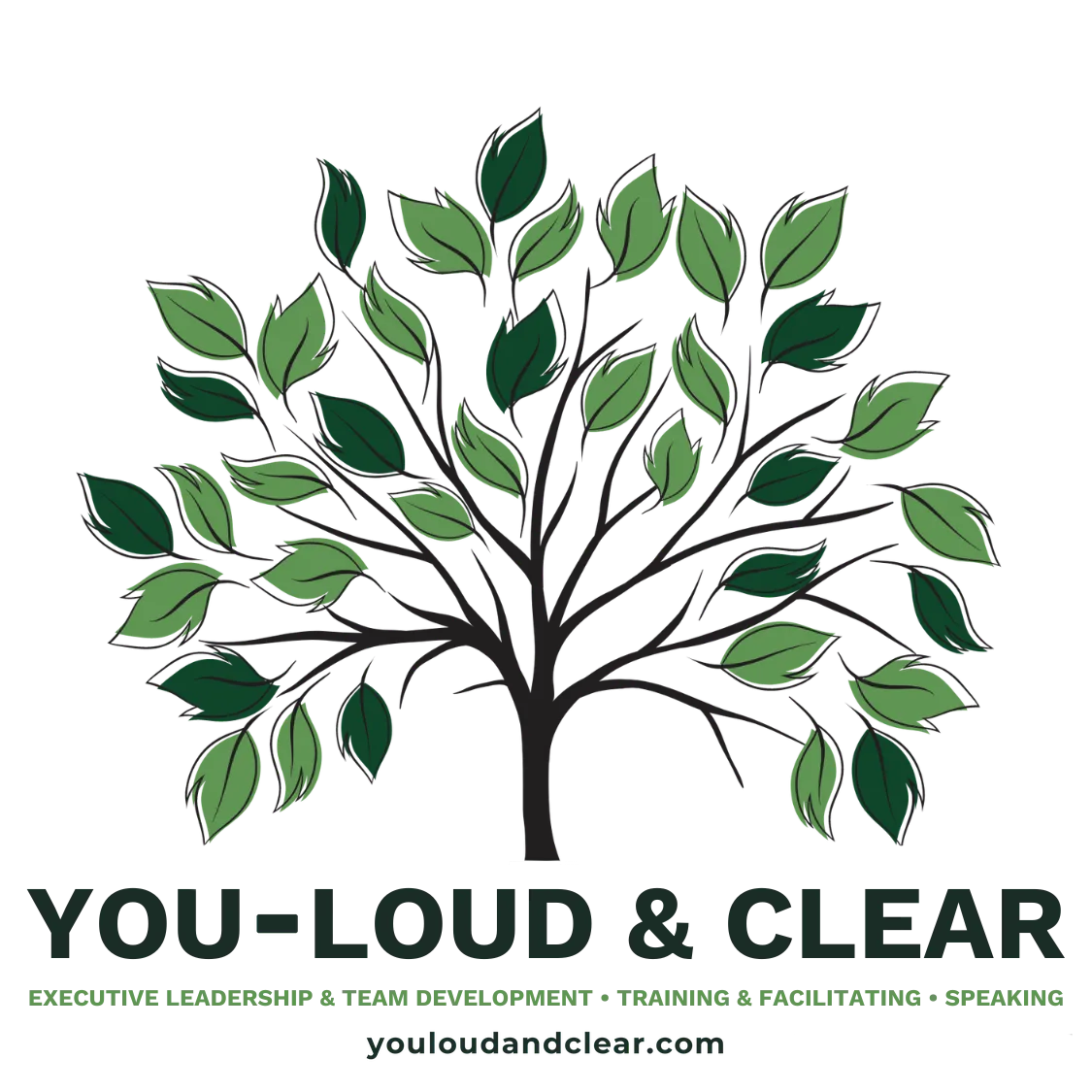 YOU - Loud & Clear, executive leadership coaching by Kelly Meerbott