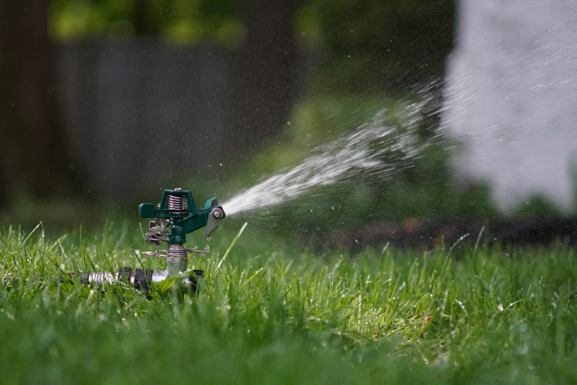 Lawn Irrigation in Madison