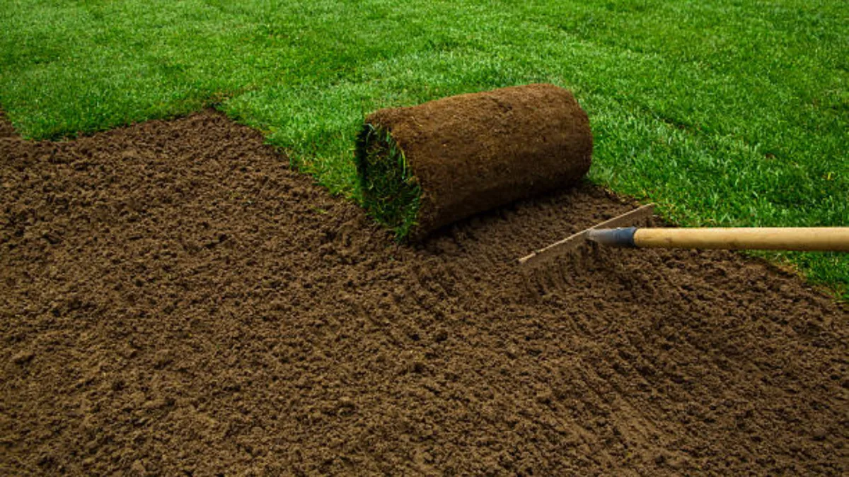 Sod Installation in Madison