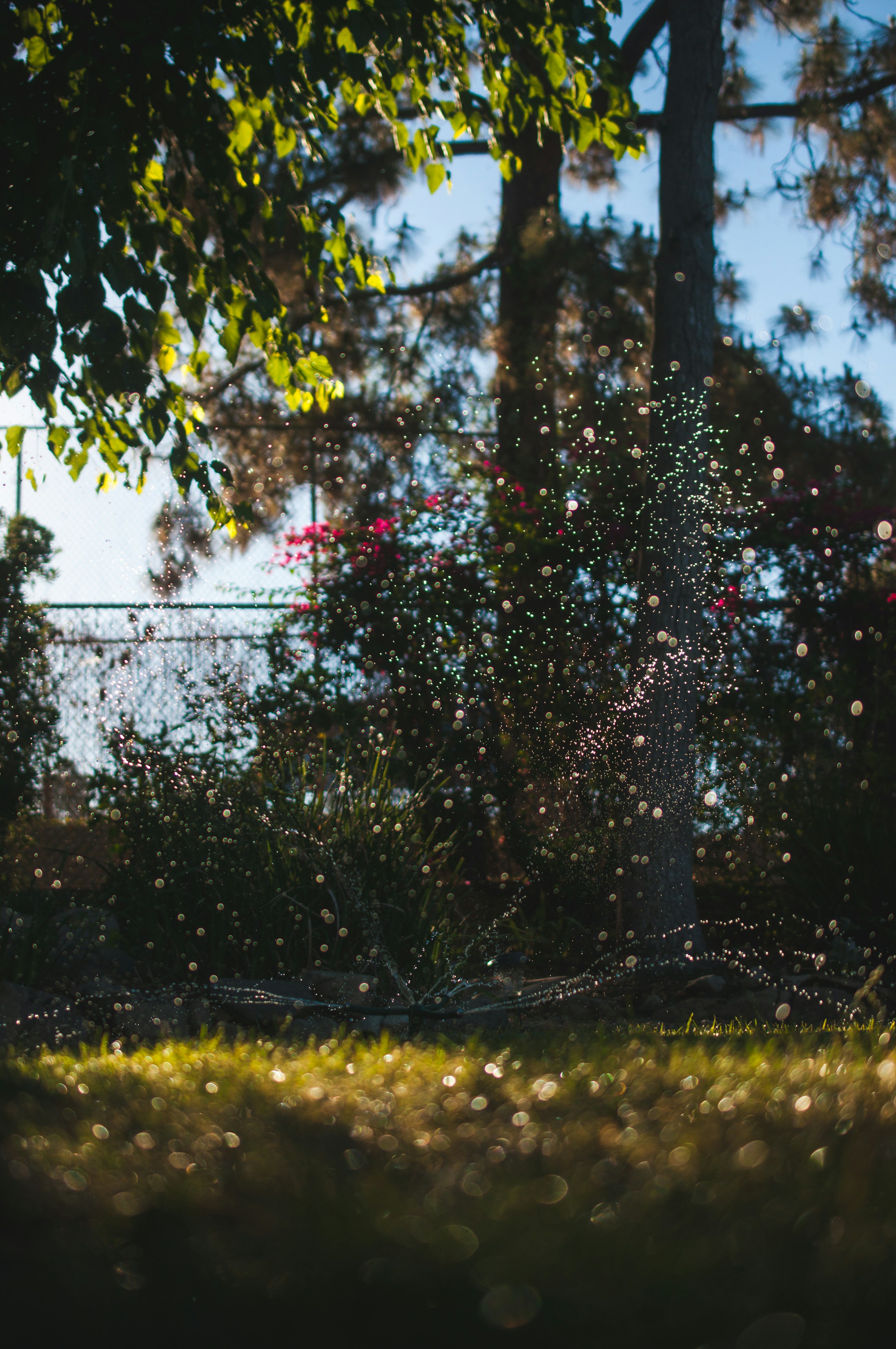 Irrigation Installation