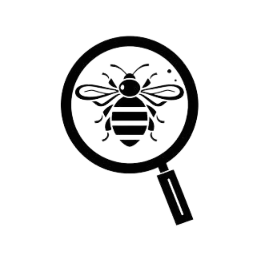 Bee Under Magnifying Glass