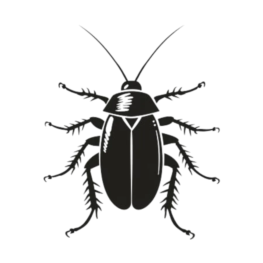 Roach Icon