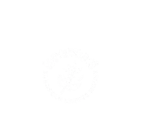 Brewed Logo
