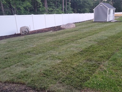 Lawn Mowing Brookline