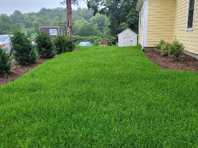 Mulching Brookline