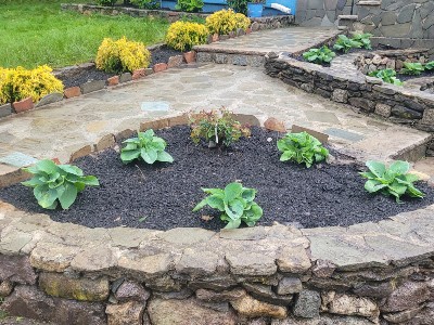 Lawn Repair Brookline