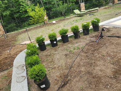 Lawn Renovation Brookline