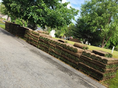Brookline