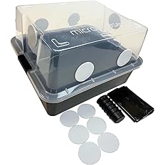 Jars and Lids Category