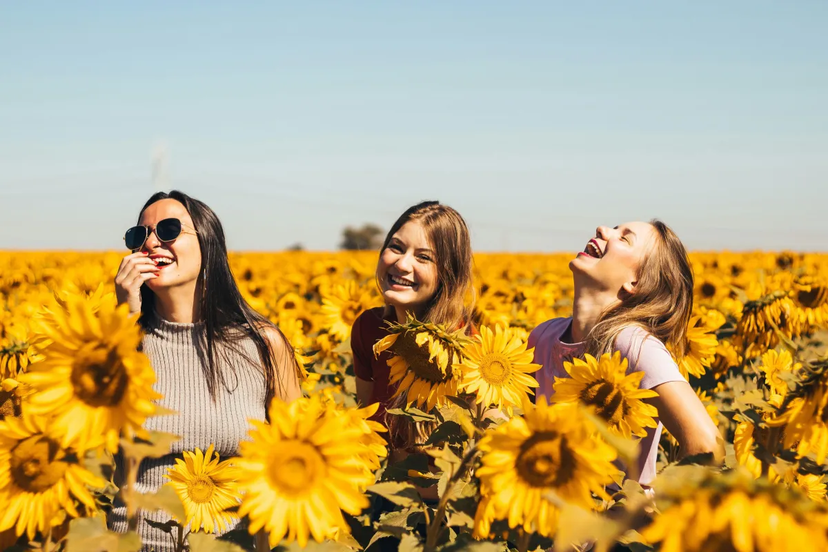 Three happy women smile and laugh together in a sunflower field, surrounded by bright, blooming yellow flowers.