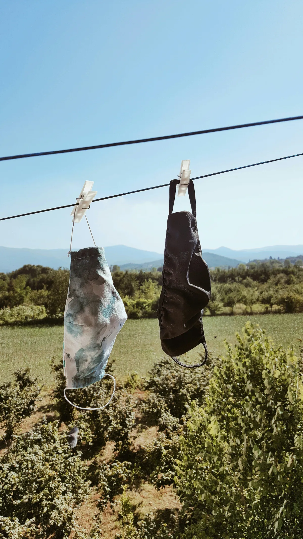 Two masks hang on a line in the backyard, gently swaying in the breeze against a green outdoor backdrop.