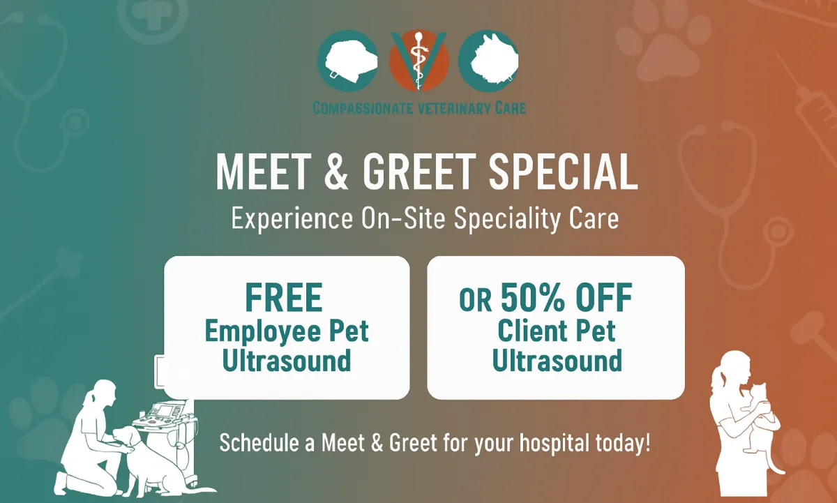 Veterinarian in teal scrubs gently examining a striped cat, emphasizing compassionate care and advanced diagnostics for pet health.