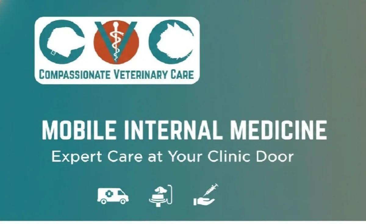 Veterinarian performing an ultrasound on a relaxed dog, showcasing mobile internal medicine services at Compassionate Veterinary Care.
