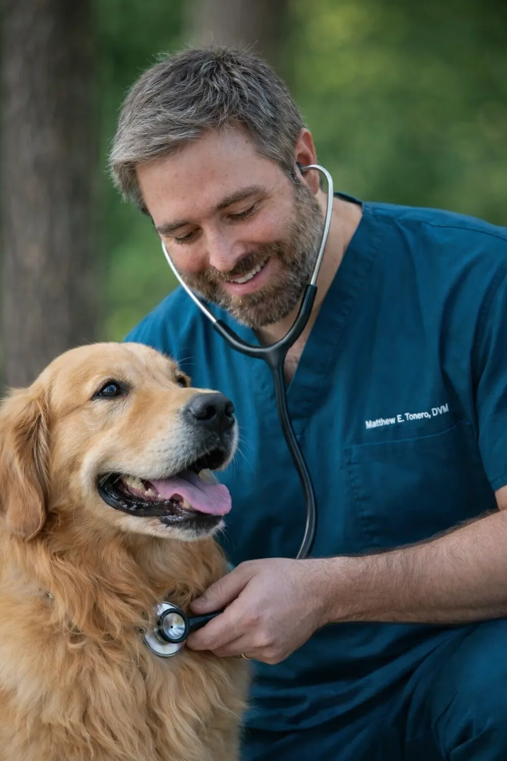 Veterinarian performing abdominal ultrasound on a pet, showcasing advanced diagnostic services at Compassionate Veterinary Care.