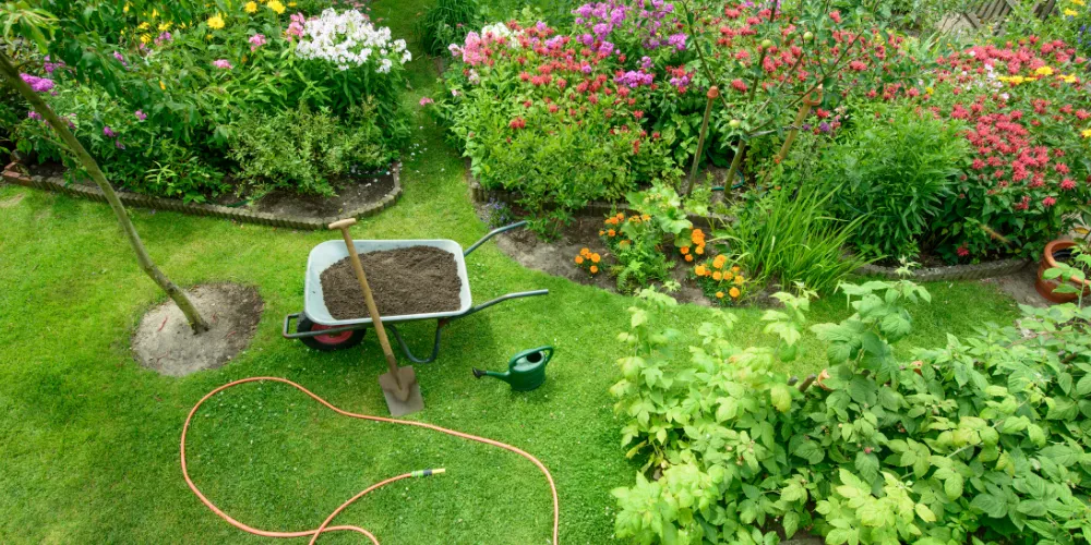 Garden border transformation in progress with established planting, wheelbarrow and tools in Bromsgrove
