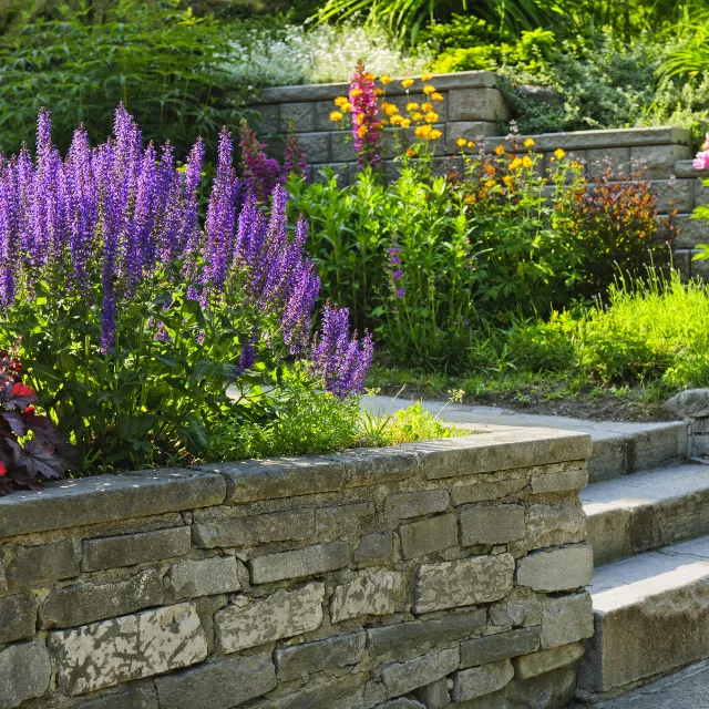 Established garden planting cared for by NPK Garden Services in Barnt Green