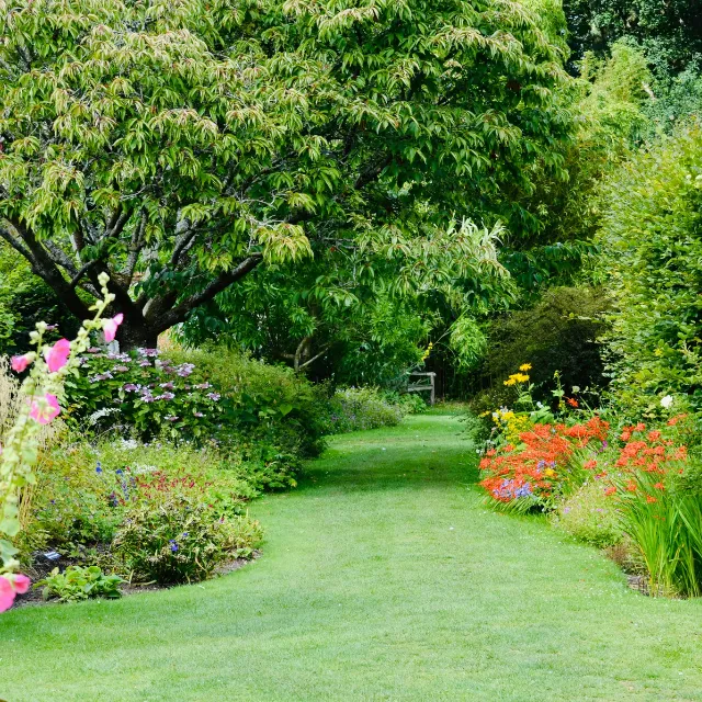 Established garden planting cared for by NPK Garden Services in Dodford