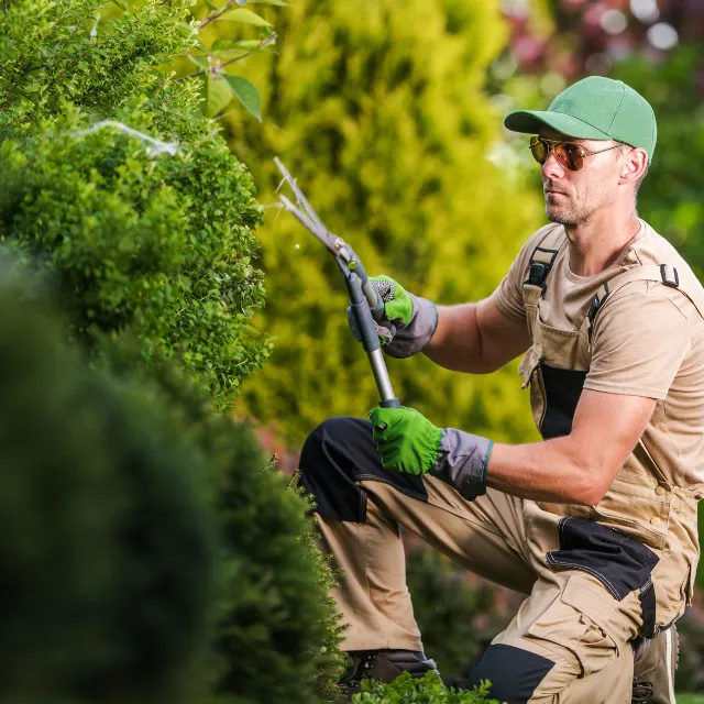 Gardener carefully trimming a hedge as part of regular garden care in Bromsgrove
