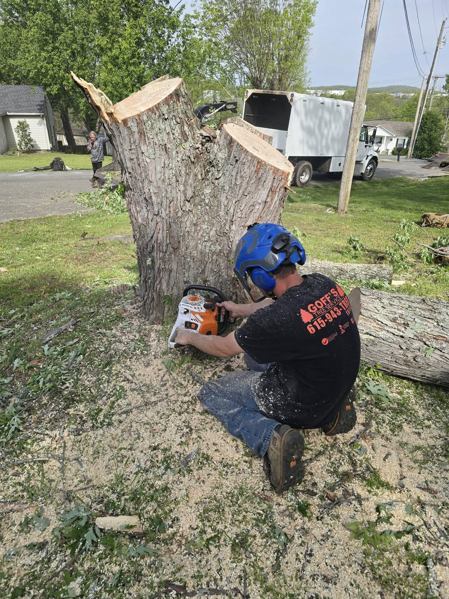 Professional tree service crew performing safe tree removal and cleanup on residential property in Tennessee