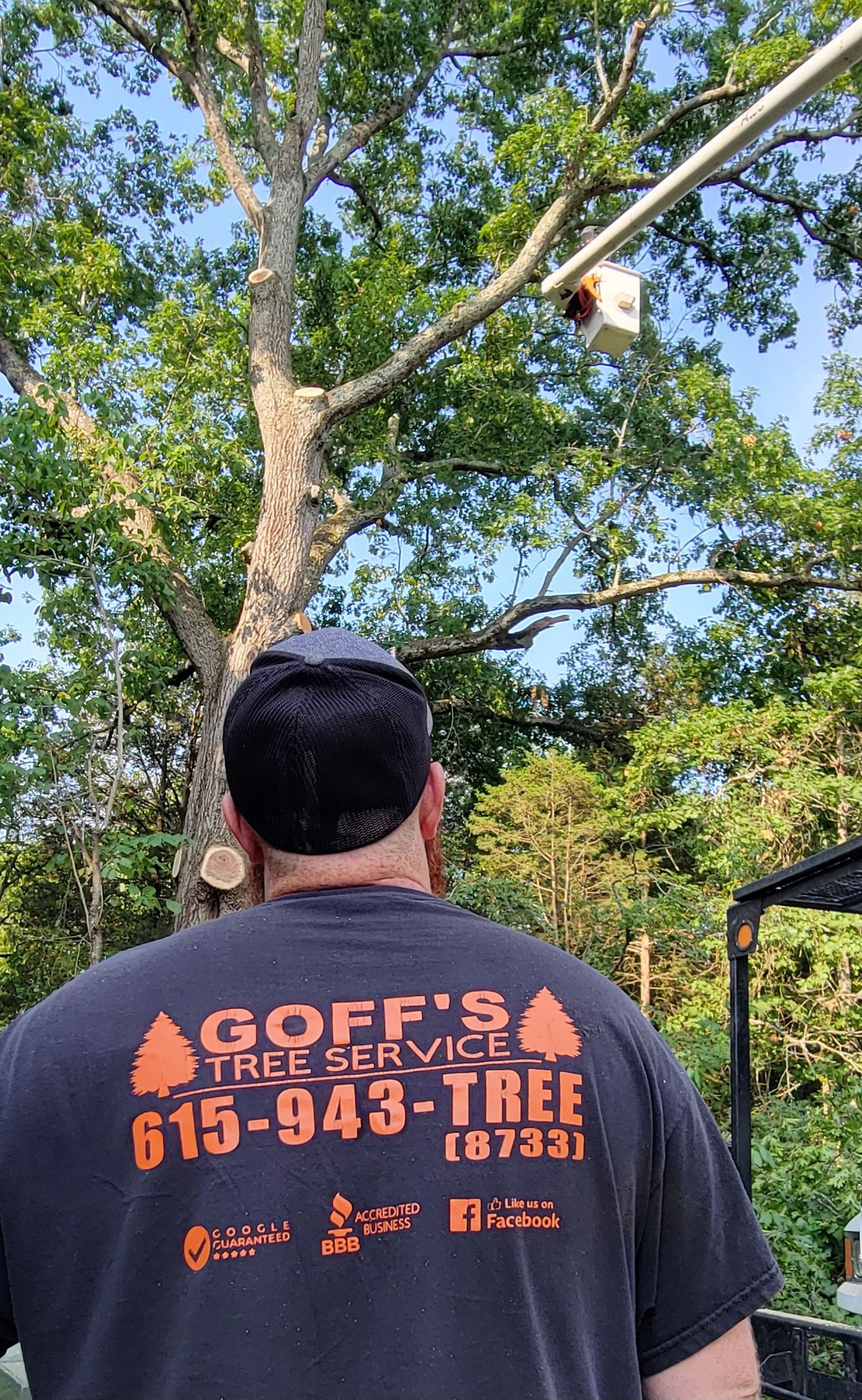 Expert tree trimming and storm cleanup services helping protect homes and businesses in Middle Tennessee