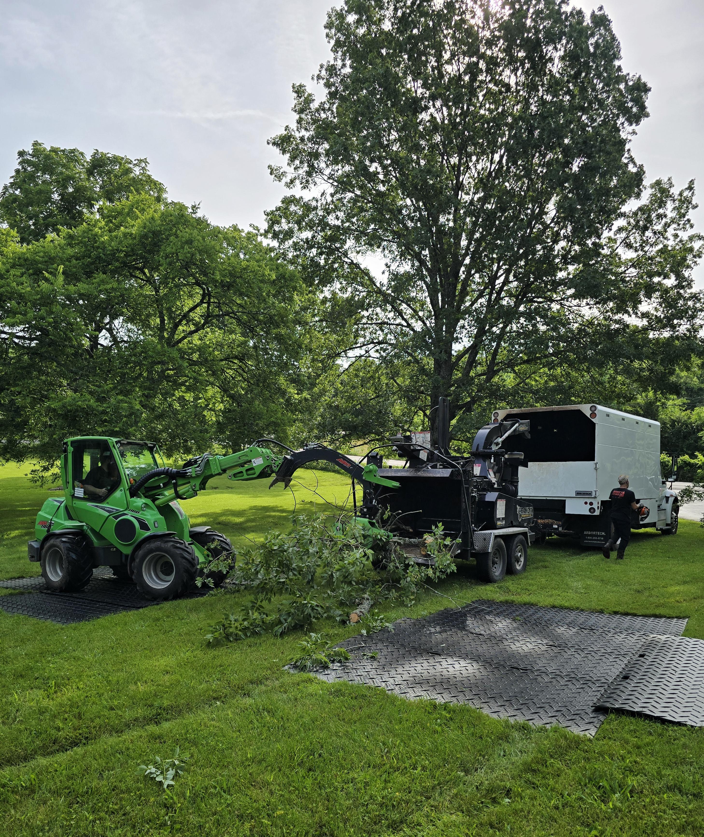 Expert tree trimming crew maintaining healthy trees and safe landscaping in Smyrna, Tennessee