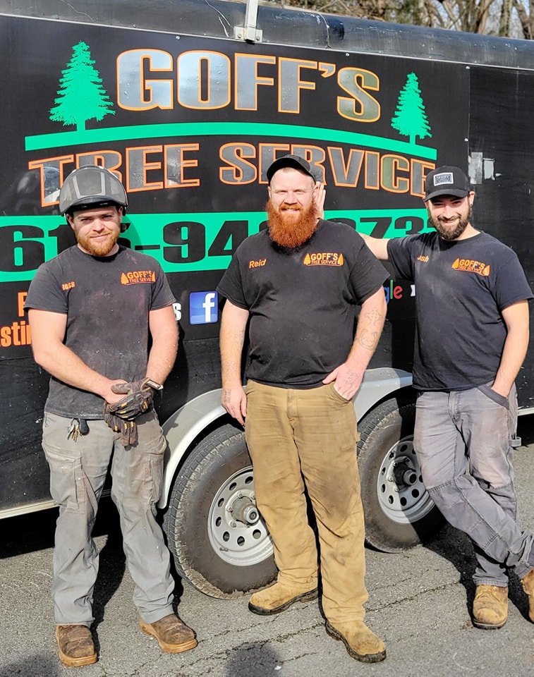 Trusted local tree service company performing safe tree trimming and cleanup for residential properties in Tennessee