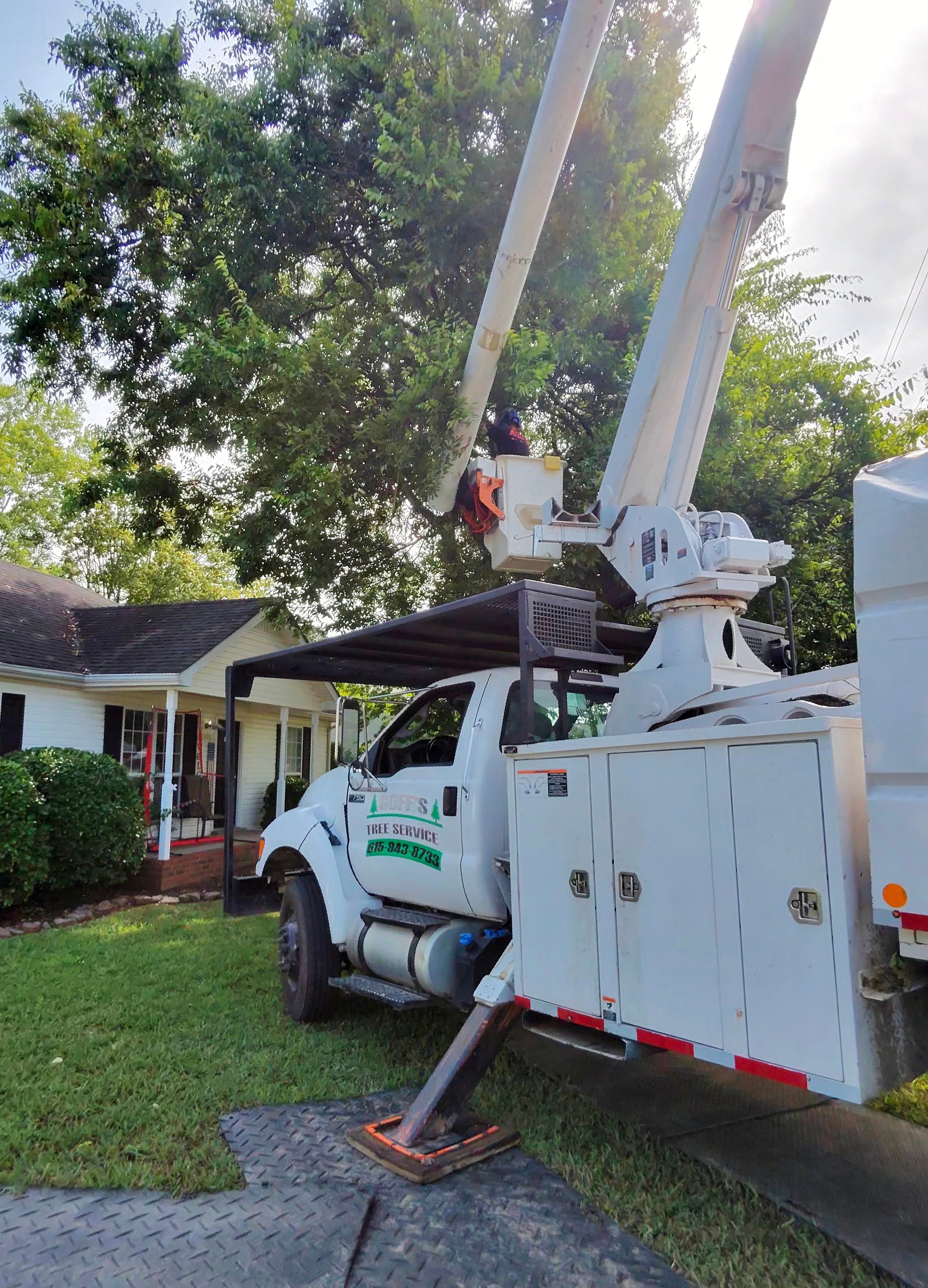 Trusted Manchester tree service company providing reliable emergency and routine tree care services