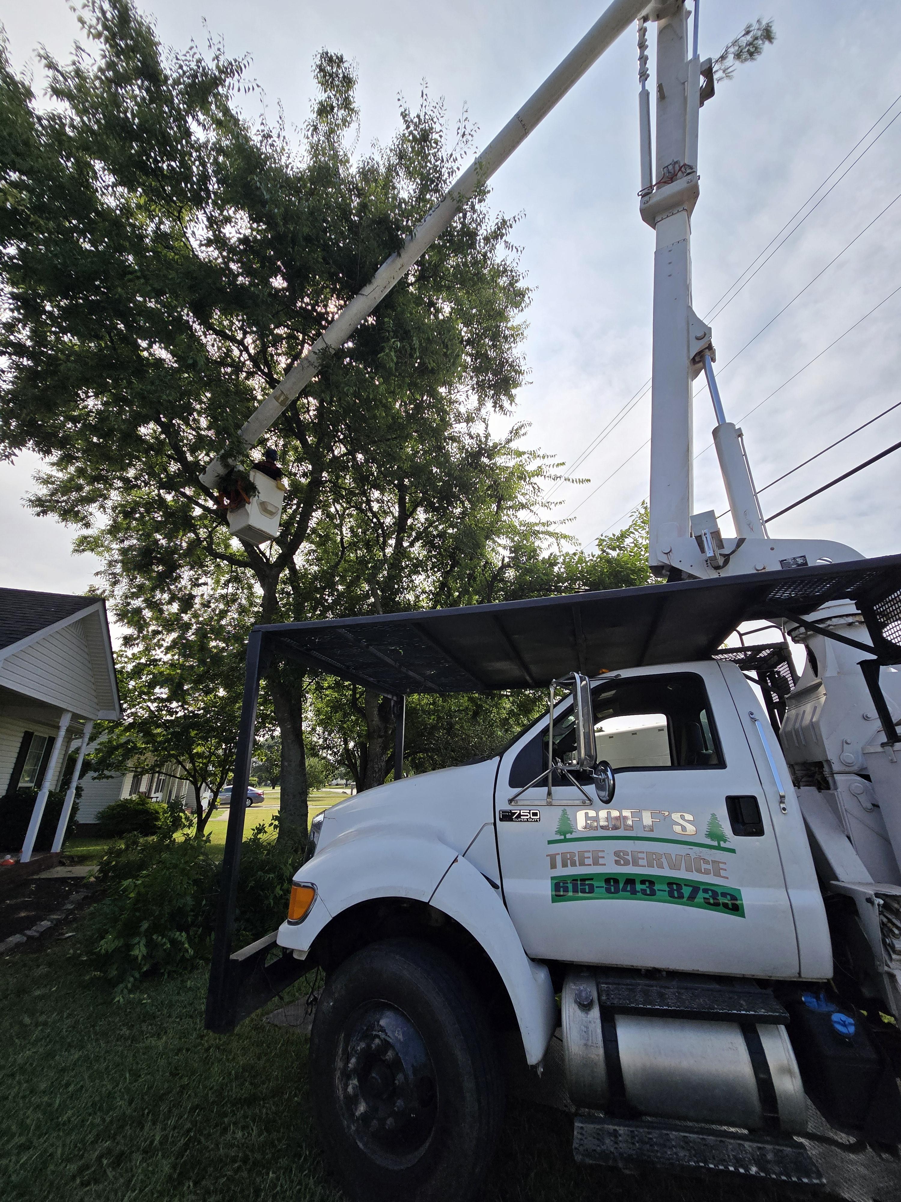 Licensed and insured tree service professionals performing hazardous tree removal in Readyville, Tennessee