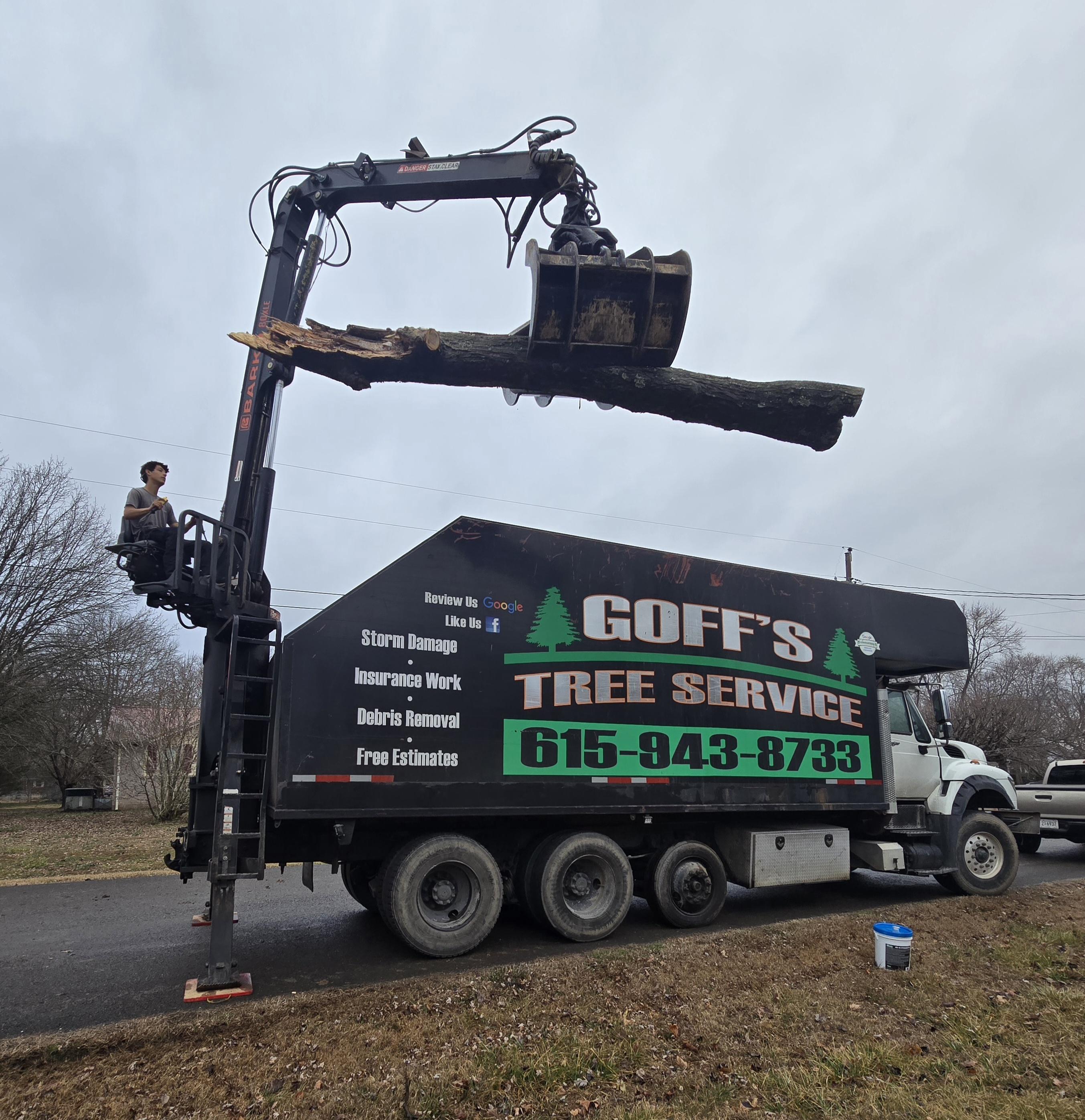 Expert tree removal services clearing dangerous storm-damaged trees while protecting surrounding property in Middle Tennessee