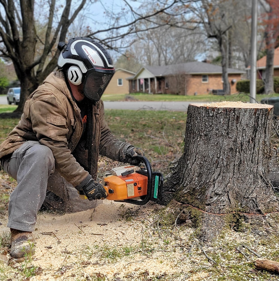 Emergency storm cleanup team removing fallen trees and debris after severe weather in Morrison TN