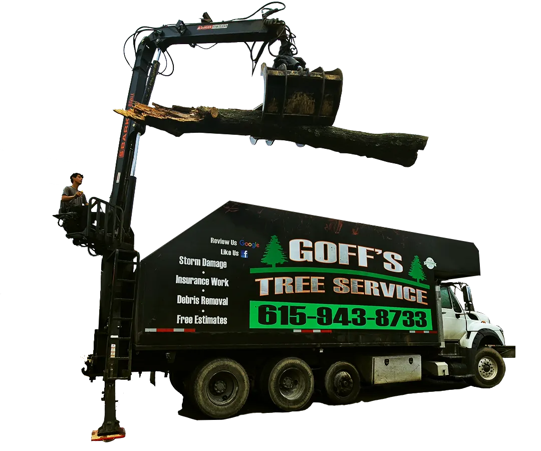 Transparent layered graphic of Goff Tree Services truck showcasing professional tree removal and trimming services in Middle Tennessee
