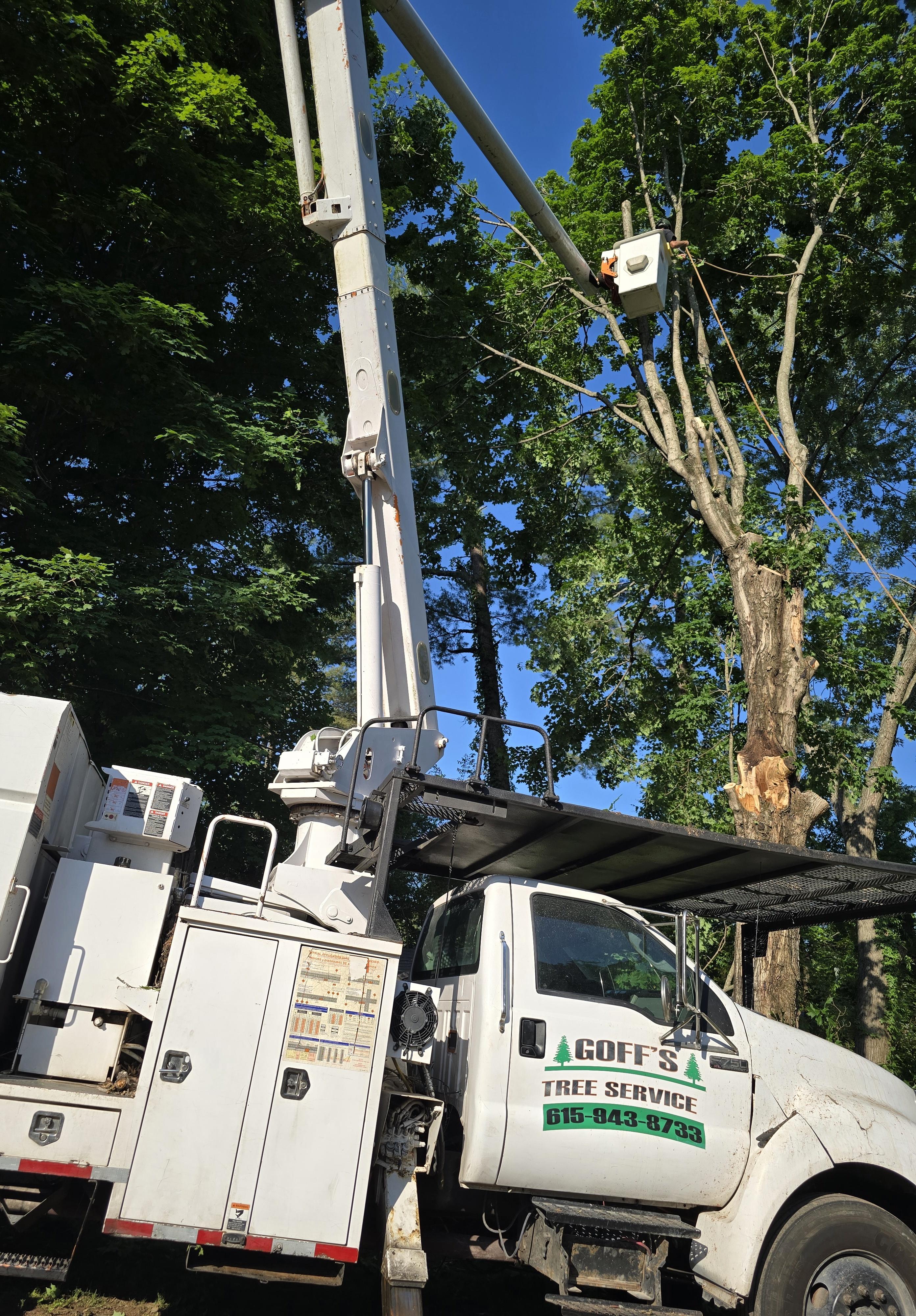 Emergency storm cleanup team clearing fallen trees and debris after severe weather in Woodbury TN