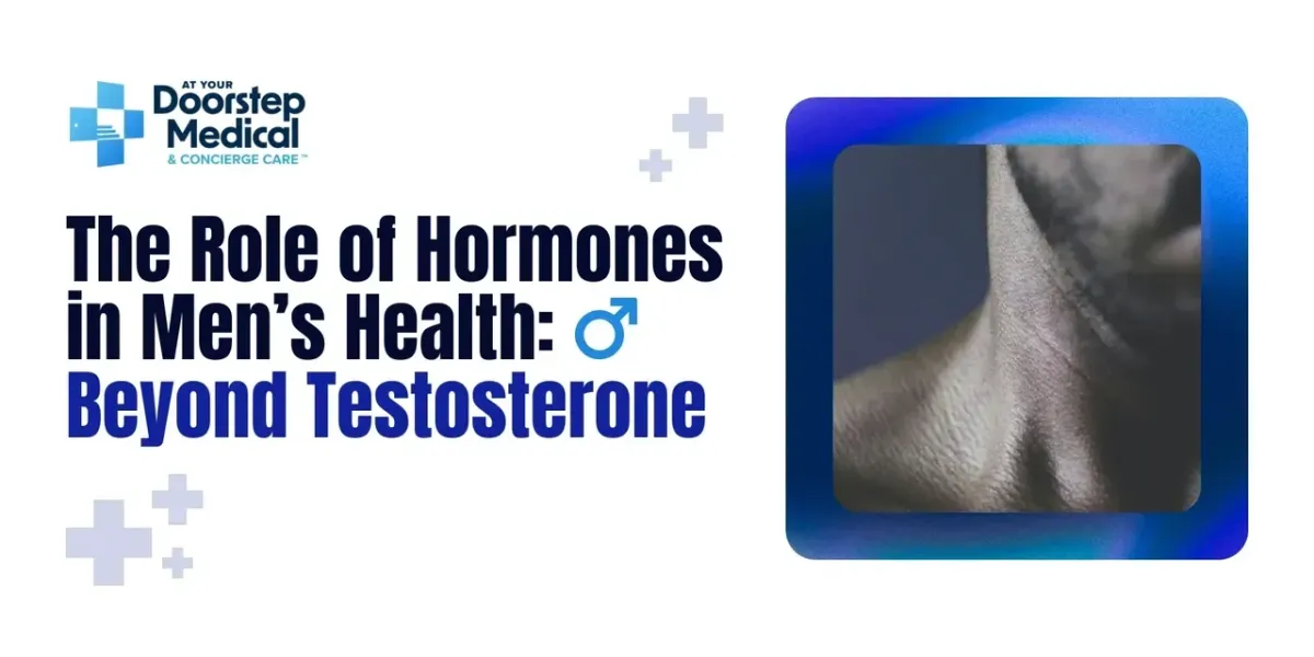 Men's Hormones Beyond Testosterone