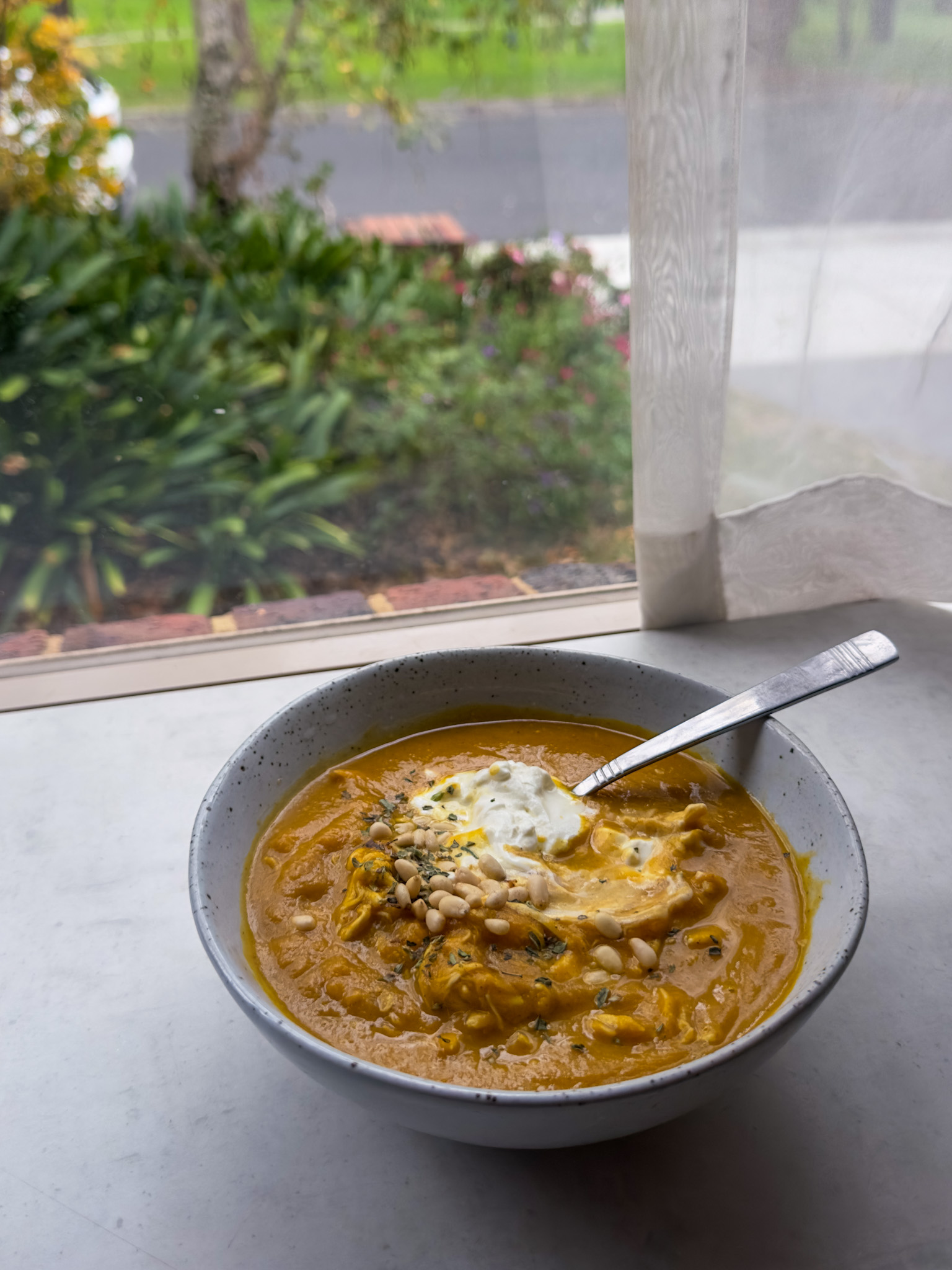 Anti-Inflammatory Pumpkin Soup with Protein