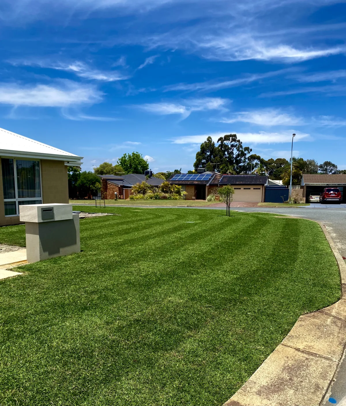 a lawn mower on the lawn