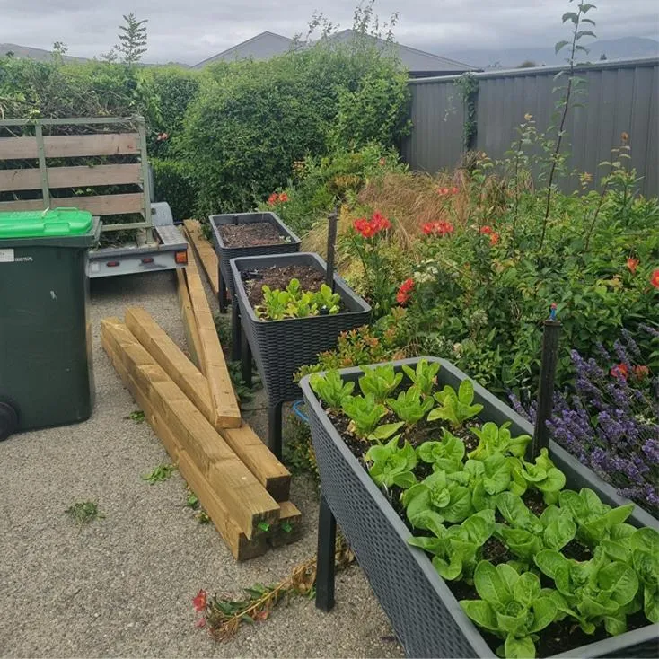 Outdoor rural section prepared for light pest control and garden protection