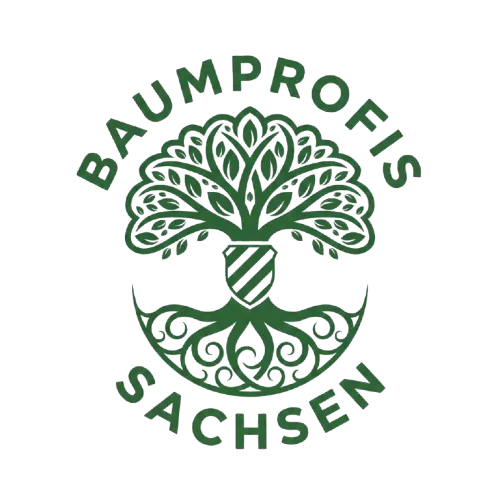 Logo Baumprofis Sachsen Fahrzeugpflege Dresden