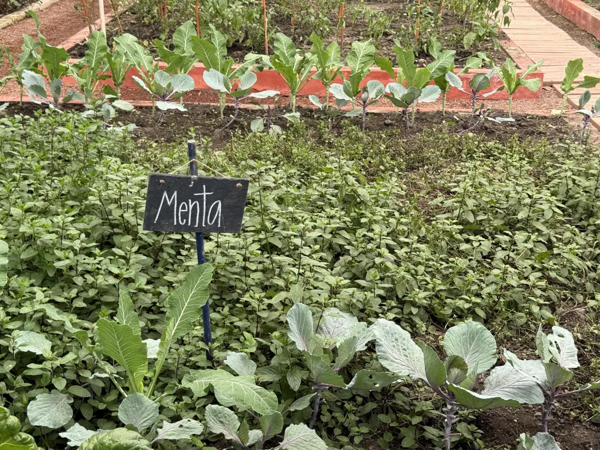 vegetación en hacienda para eventos corporativos