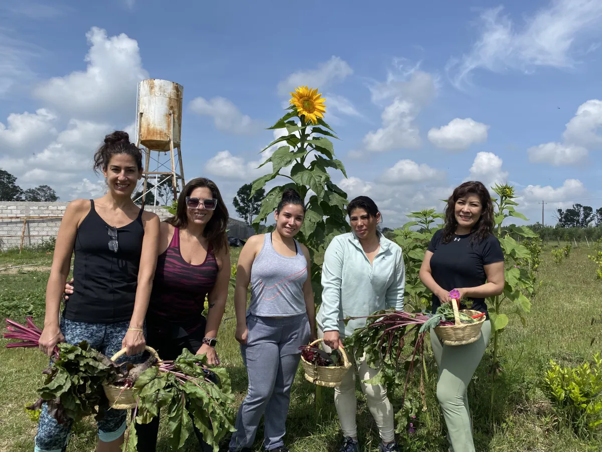 Meditación guiada en la naturaleza para equipos de trabajo