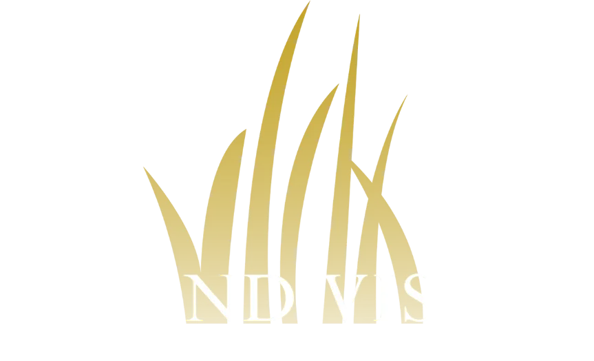 Grand Vision Family Office