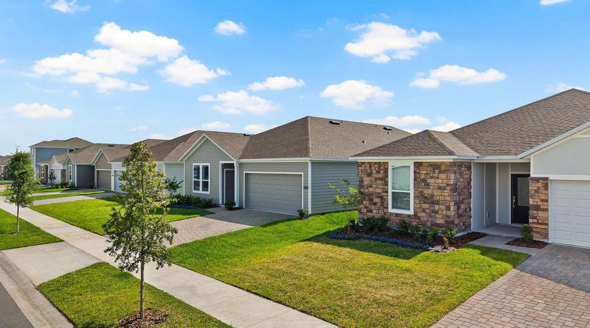 multiple home models in Wellness Ridge